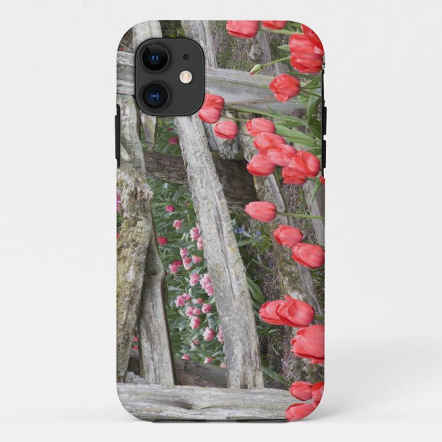 Capa Para iPhone Da Case-Mate WA, Vale do Skagit, Jardim de Tulipas Roozengaarde (Verso)