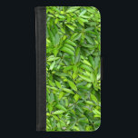 Capa Carteira Para iPhone 8/7 Padrão de Folhas Verde Lush - Botânica da Natureza<br><div class="desc">Tragam a beleza da natureza para o vosso espaço com este padrão de folhas verdes e peludas. Este design botânico perfeito é perfeito para decoração doméstica, acessórios de moda e presentes ecológicos. O verde fresco e vibrante acrescenta um toque calmante e refrescante a qualquer produto. Ideal para amantes da natureza...</div>