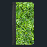 Capa Carteira Para iPhone 8/7 Padrão de Folhas Verde Lush - Botânica da Natureza<br><div class="desc">Tragam a beleza da natureza para o vosso espaço com este padrão de folhas verdes e peludas. Este design botânico perfeito é perfeito para decoração doméstica, acessórios de moda e presentes ecológicos. O verde fresco e vibrante acrescenta um toque calmante e refrescante a qualquer produto. Ideal para amantes da natureza...</div>