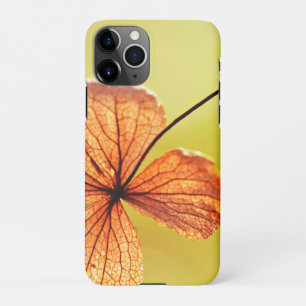 Capa Para iPhone Flor   Zazzle_Growth.