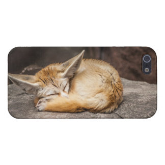 Capa iPhone 5 Fox bonito de Fennec