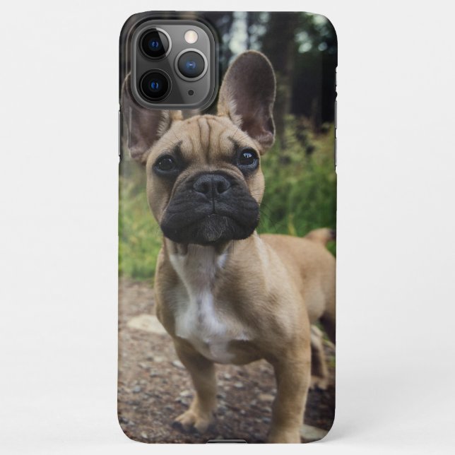 Capa Para iPhone French Bulldog Throw Pillow (Verso)