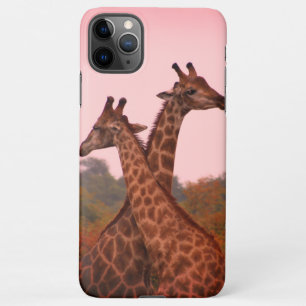 Capa Para iPhone Girafas