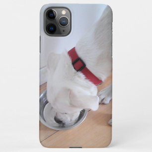Capa Para iPhone Labrador Branco-Bonito Misturar Água Bebendo Cão-C