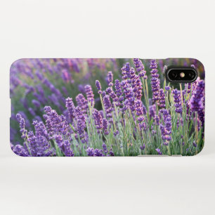 Capa Para iPhone Lavanda Lusciosa