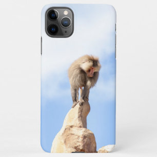 Capa Para iPhone Macaco babuíno no topo de uma montanha