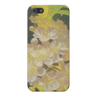 iPhone 5 Capa Rapsódia floral em Dourado e em branco
