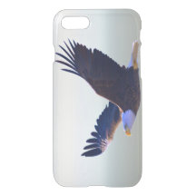 Vôo da águia americana