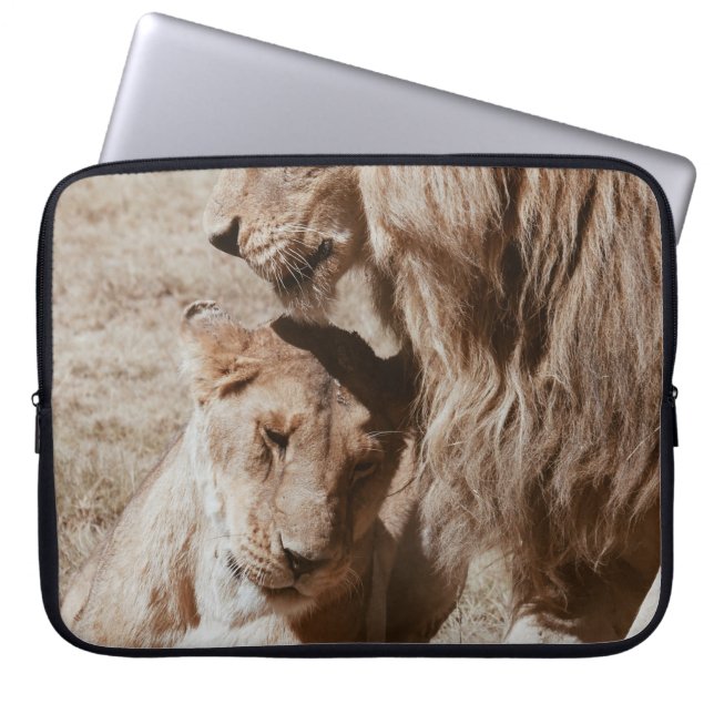 CAPA PARA NOTEBOOK 2 LIÕES MARAVILHADAS NO CAMPO VERDE (Frente)