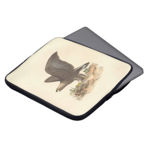 Capa Para Notebook A Águia Ouro (Aquila chrysaetos) NY Imagem do Páss