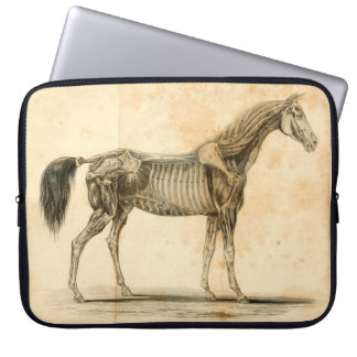 Capa Para Notebook A bolsa de laptop da anatomia do cavalo