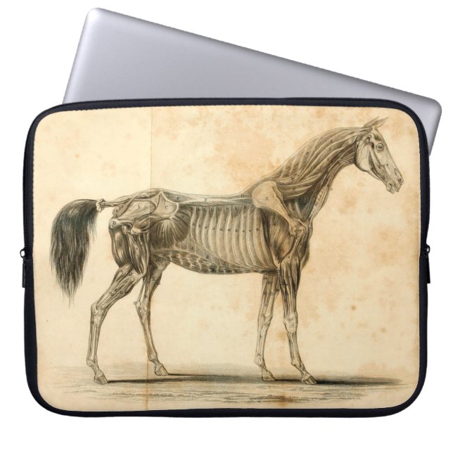 Capa Para Notebook A bolsa de laptop da anatomia do cavalo (Frente)