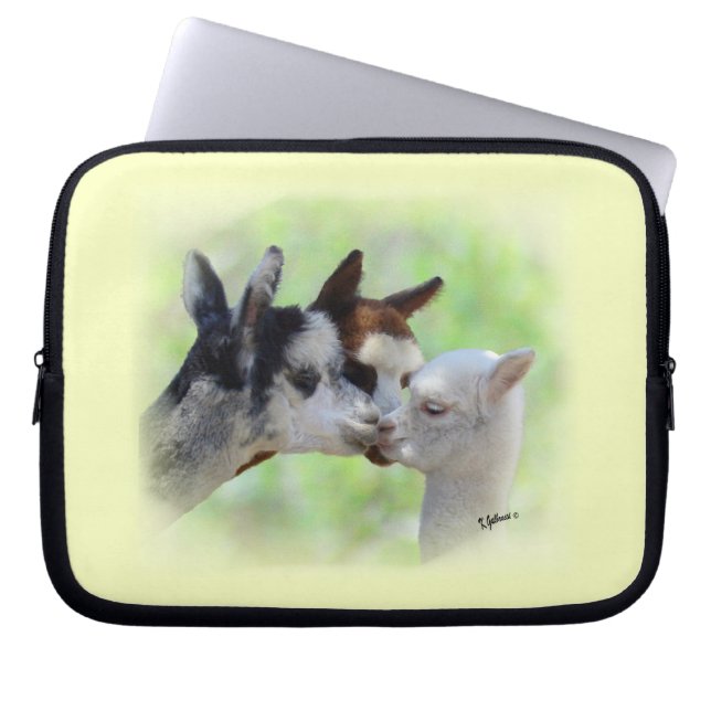 Capa Para Notebook A bolsa de laptop das alpacas (Frente)