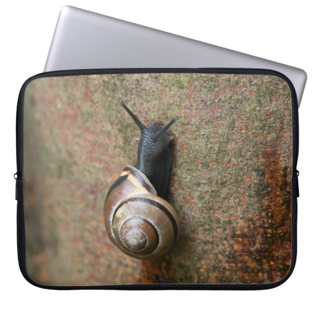 Capa Para Notebook A bolsa de laptop do caracol (Frente)