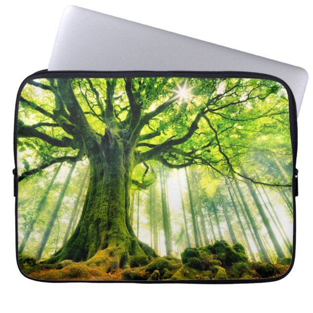 Capa Para Notebook A faia de Ponthus (Frente)