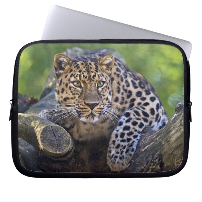 Capa Para Notebook A Manga de Laptop The Watcher (Frente)