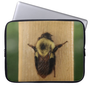 Capa Para Notebook Abelha-zilla