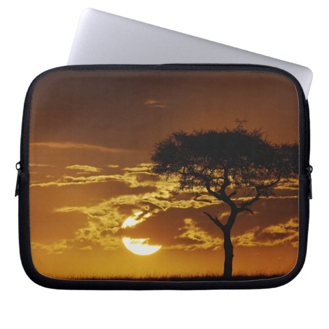 Capa Para Notebook Acácia-espinheira, Acacia tortilis, (Frente)