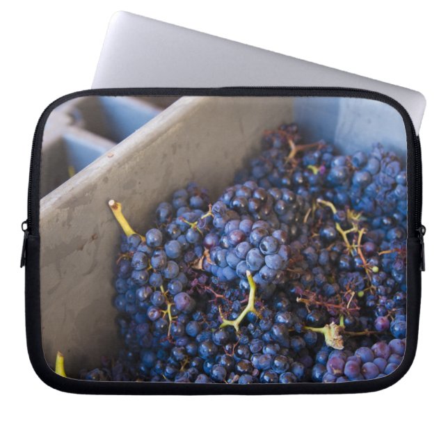 Capa Para Notebook Adega Marques de Riscal, uvas (Frente)