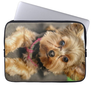 Capa Para Notebook Adorável