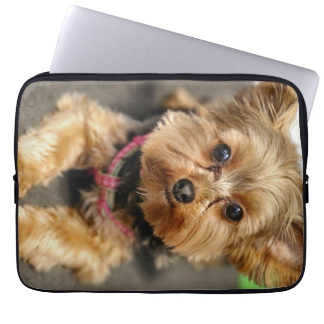 Capa Para Notebook Adorável (Frente)