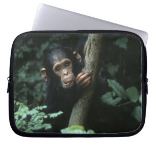 Capa Para Notebook África, África Oriental, Tanzânia, Parque Nacional