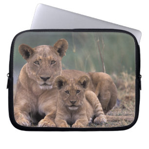 Capa Para Notebook África, Botsuana, Delta do Okavango. Leões