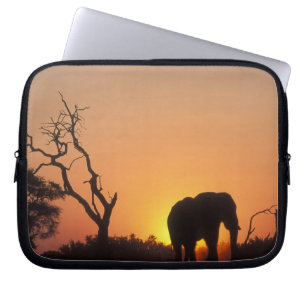 Capa Para Notebook África, Botsuana, Parque Nacional Chobe, Cenário