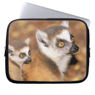 Capa Para Notebook África, Madagascar, Reserva Particular Berenty.