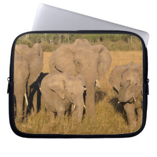 Capa Para Notebook África, Quênia, Masai Mara. Elefante-africano