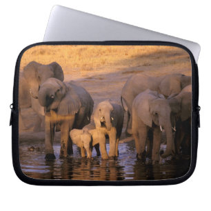 Capa Para Notebook África, Quênia, Masai Mara. Elefantes (Loxodonta