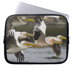 Capa Para Notebook África. Quênia. Pelicanos Brancos em voo no Lago