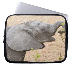 Capa Para Notebook África. Tanzânia. Elefante jovem em Tarangire