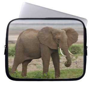 Capa Para Notebook África. Tanzânia. Elefante no Parque Nacional do L