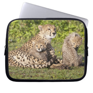 Capa Para Notebook África. Tanzânia. Mãe de guepardo e filhotes 2