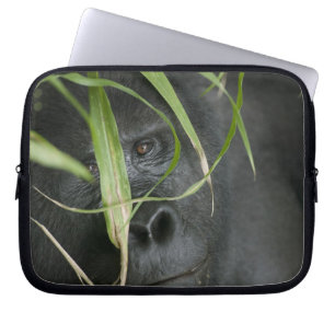 Capa Para Notebook África, Uganda, Bwindi