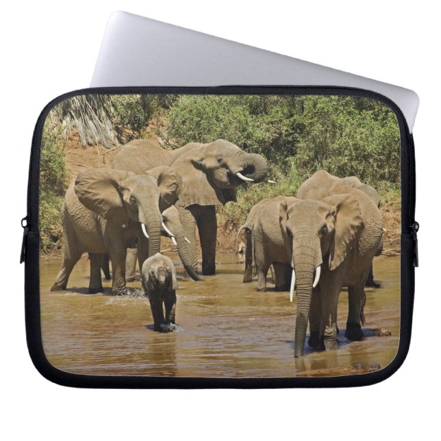Capa Para Notebook Afro-elefantes, Loxodonta Africana, Samburu (Frente)