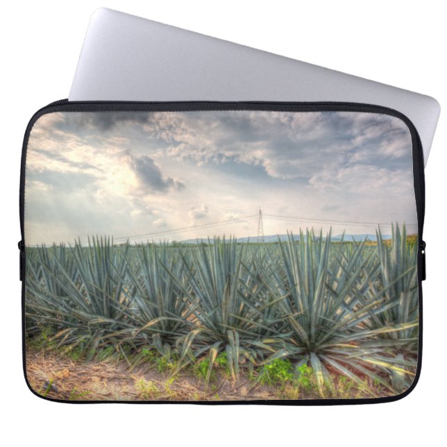 Capa Para Notebook Agave azul (Frente)