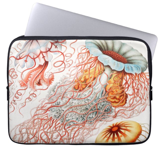 Capa Para Notebook Água-viva, Discomedusae por Ernst Haeckel (Frente)