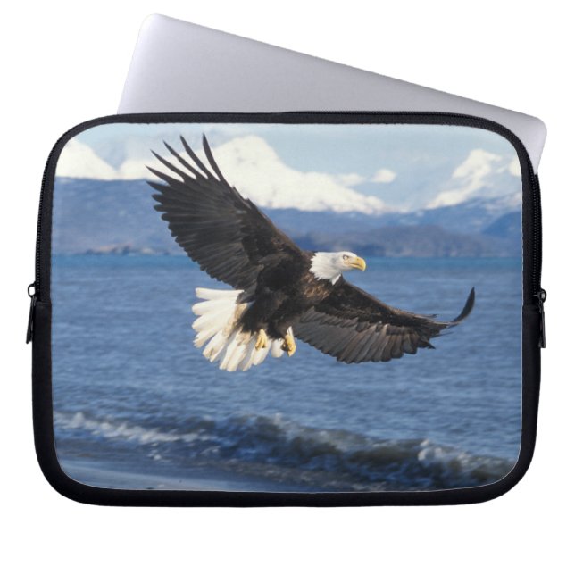 Capa Para Notebook águia-careca, Haliaeetus leuccocephalus, em voo (Frente)