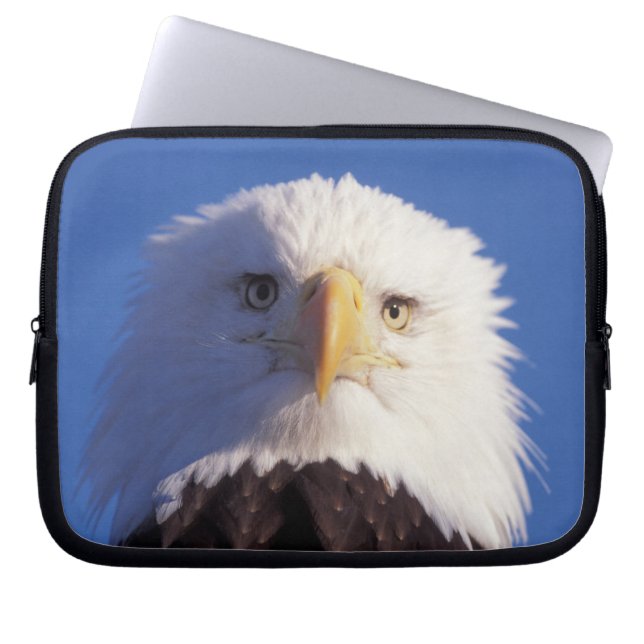 Capa Para Notebook águia-careca, Haliaeetus leucocephalus, foto da ca (Frente)