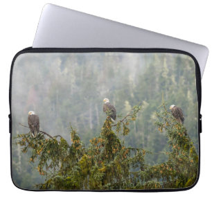 Capa Para Notebook Águias-carecas Floresta Nacional Tongass Alasca