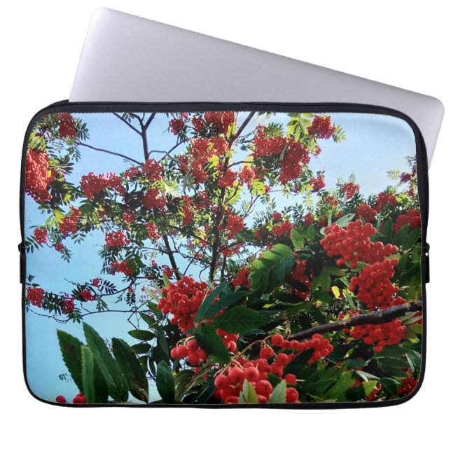 Capa Para Notebook Airelas vermelhas (Frente)