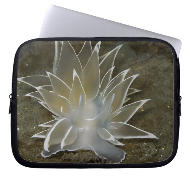 Capa Para Notebook Alabaster Nudibranch Eletrônicos Bag (Frente)