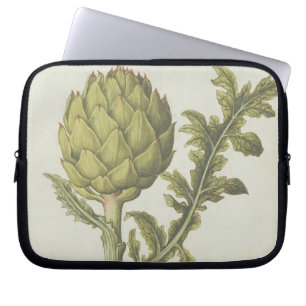 Capa Para Notebook Alcachofra: Scolymus do Cynara, c.1568