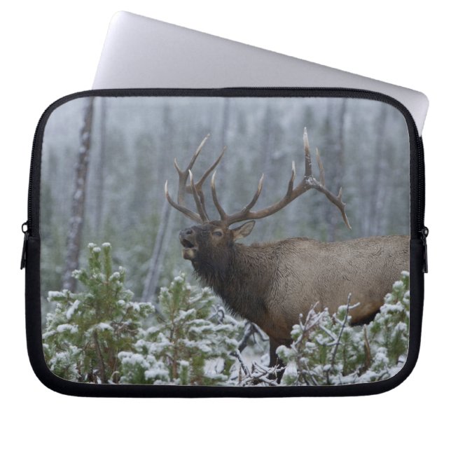 Capa Para Notebook Alce macho na neve chamando, buglando, Yellowstone (Frente)