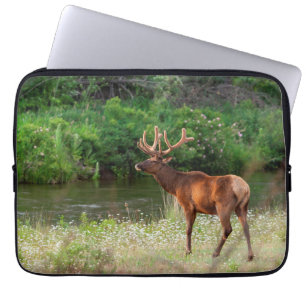 Capa Para Notebook Alce macho no National Bison Range, Montana