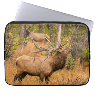Capa Para Notebook Alce macho Parque Nacional das Montanhas Rochosa