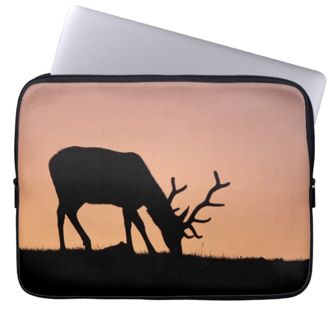 Capa Para Notebook Alce | Parque Nacional das Montanhas Rochosas, Col (Frente)