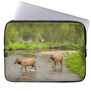 Capa Para Notebook Alces cruzando o rio Colorado